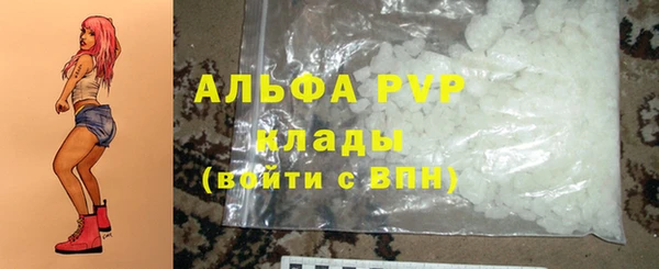 прущие грибы Гусиноозёрск