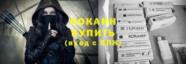 прущие грибы Гусиноозёрск