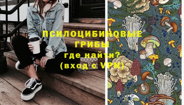 кристаллы Гусь-Хрустальный
