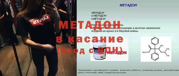 прущие грибы Гусиноозёрск