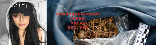 трава Гусев