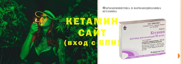 прущие грибы Гусиноозёрск
