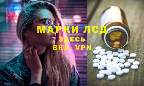 прущие грибы Гусиноозёрск