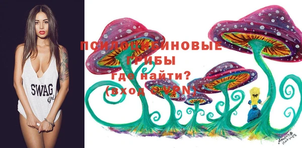 прущие грибы Гусиноозёрск