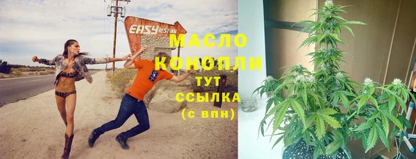 кристаллы Гусь-Хрустальный