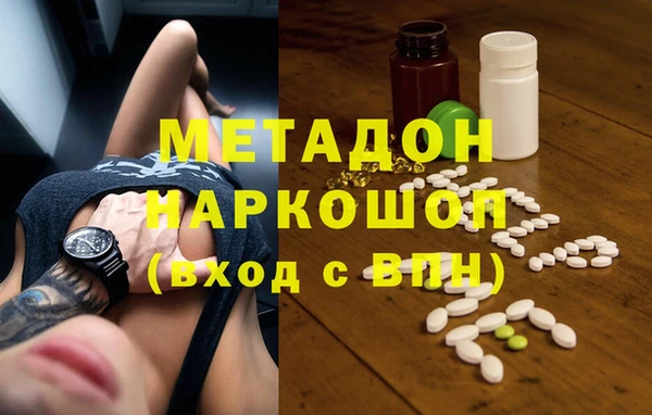 прущие грибы Гусиноозёрск