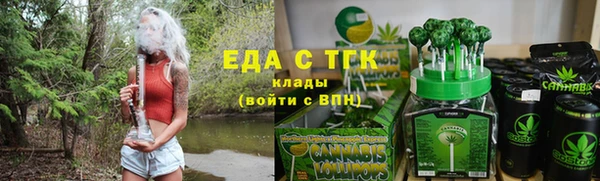 прущие грибы Гусиноозёрск