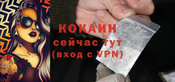 прущие грибы Гусиноозёрск
