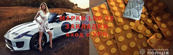 прущие грибы Гусиноозёрск