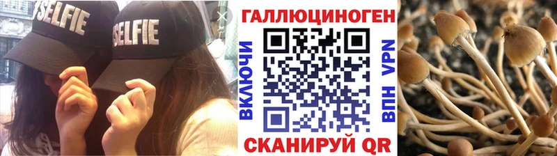 гидра как войти  даркнет официальный сайт  Галлюциногенные грибы Cubensis  наркотики  Яхрома 